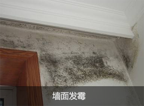 墻面發(fā)霉
