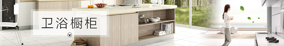 衛(wèi)浴櫥柜
